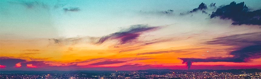 新沂茶虫网_新沂品茶